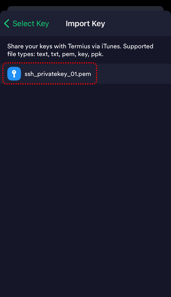 termius alias url scheme ssh